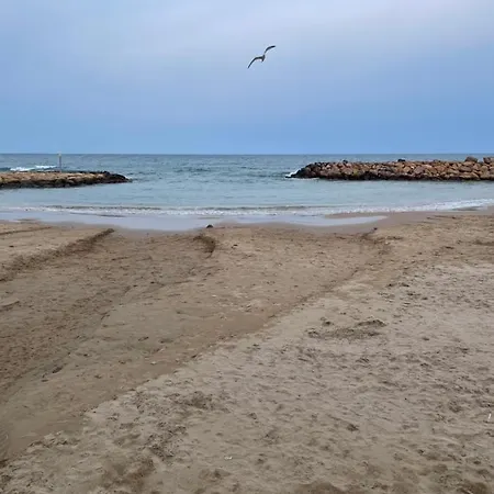 Au Coeur De Torreveija * Torrevieja